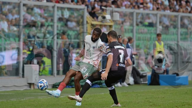 Palermo Cesena highlights